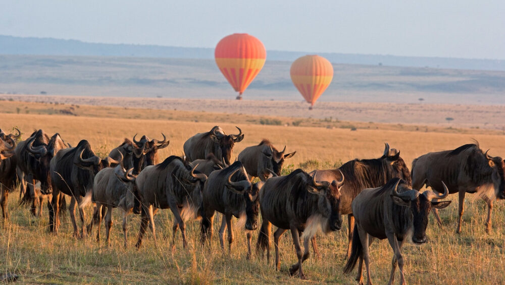 Kenya-Tanzania combined Safaris