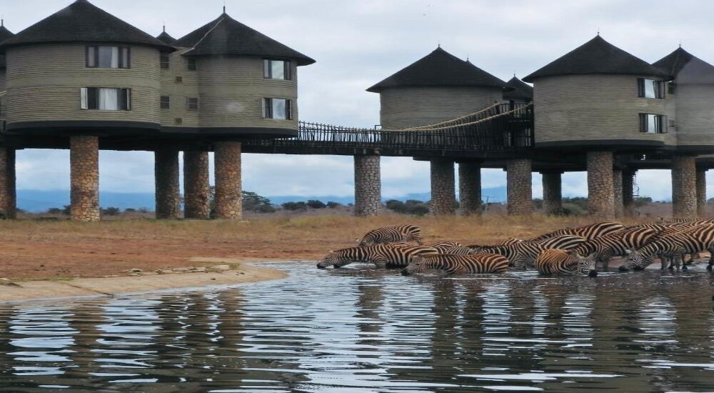 2-days saltlick safari