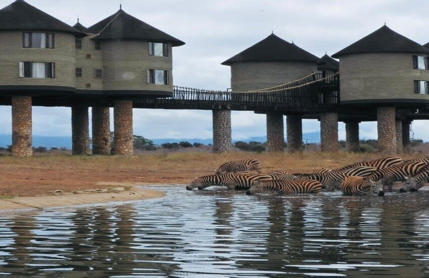 2-days saltlick safari