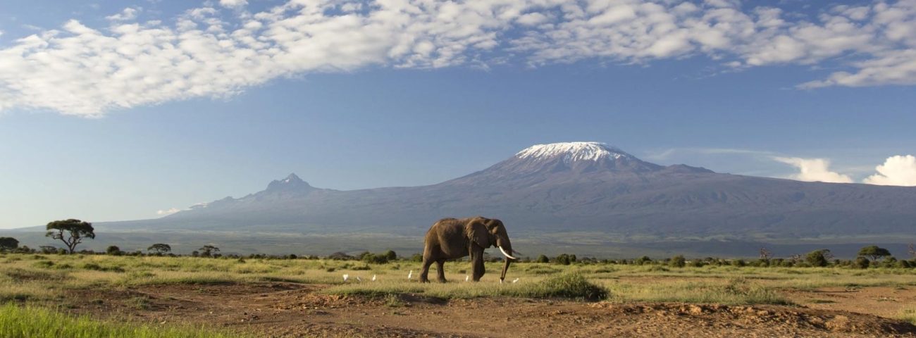 East Africa Safari Packages for Flying Dove Tours