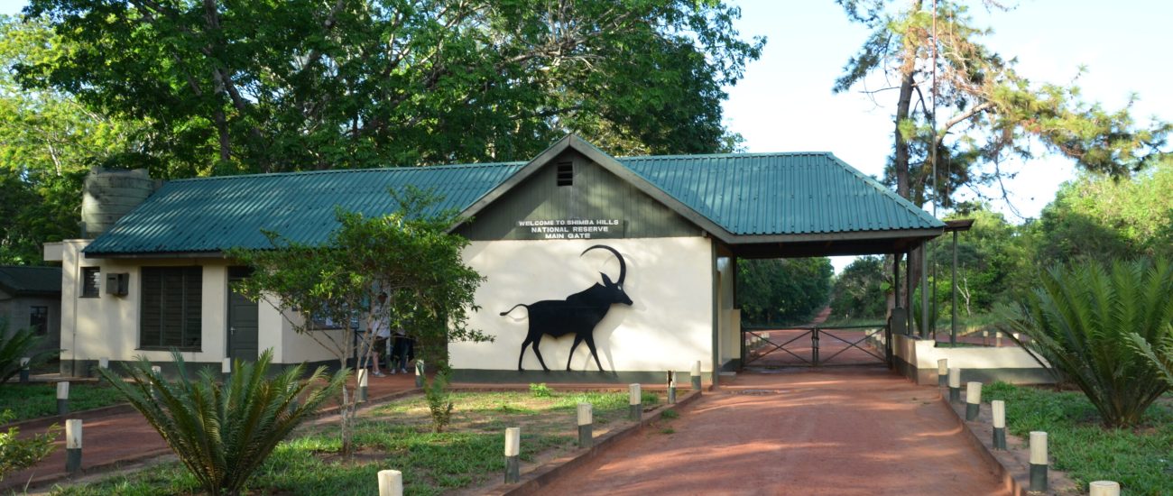 Shimba Hills Safari