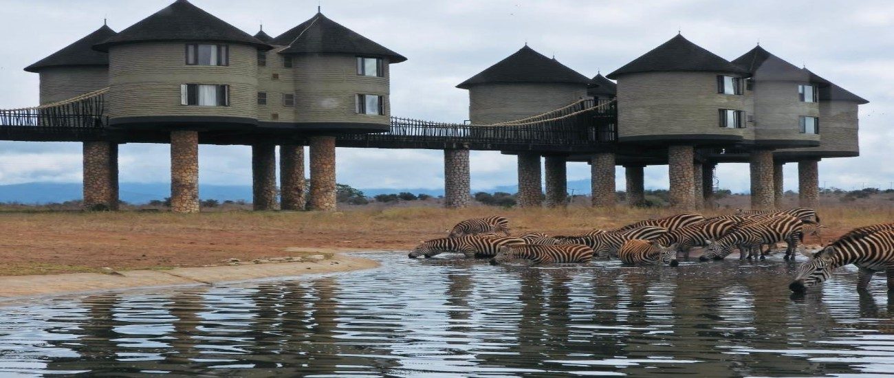 2-days saltlick safari