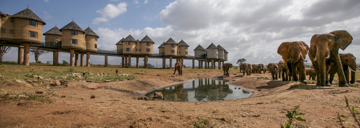 Sarova Salt Lick Game Lodge - Elephants 2