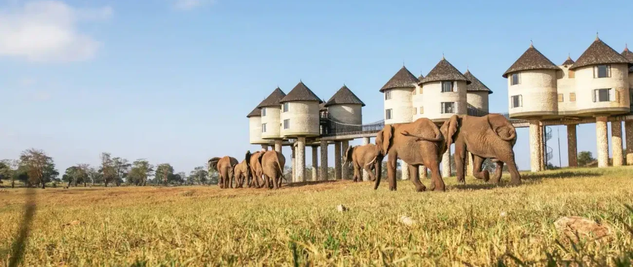 Sarova-Salt-Lick-Game-Lodge-Tsavo-West