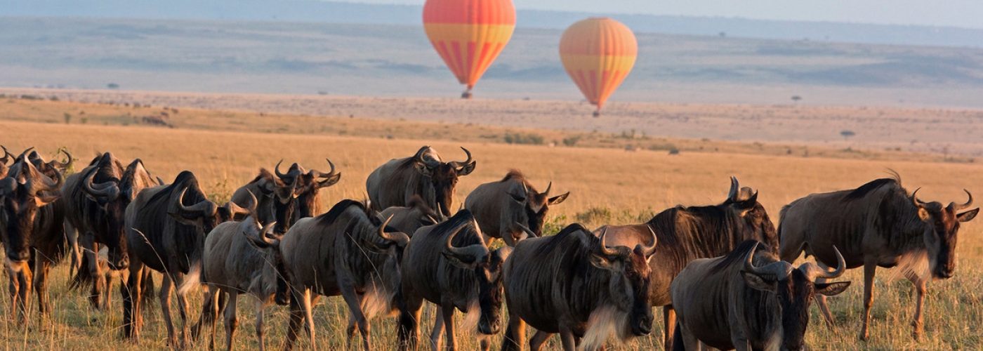 Kenya-Tanzania combined Safaris