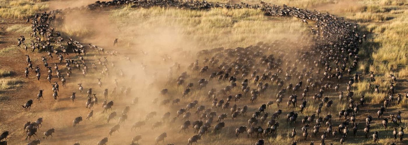 great-migration-kenya-aerial