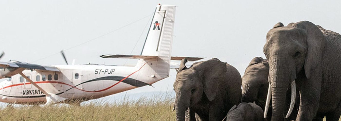 kenya-fly-in-safaris