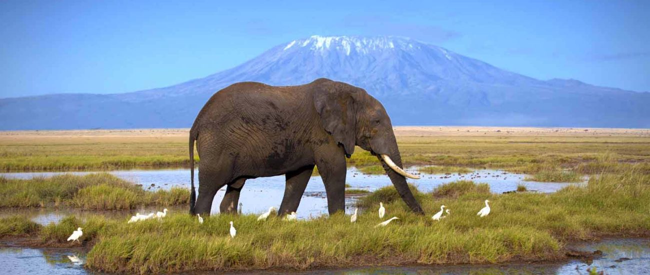 Amboseli National Park