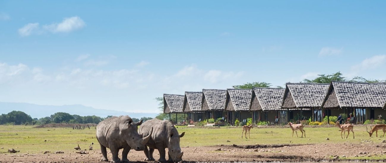 view-of-waterhole-at-sweetwaters-serena-camp